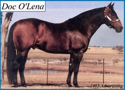 Doc O' Lena